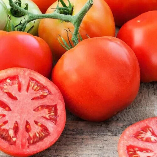 50+ MARGLOBE Tomato Seeds, Fresh, Ready for Planting. Free Shipping USA
