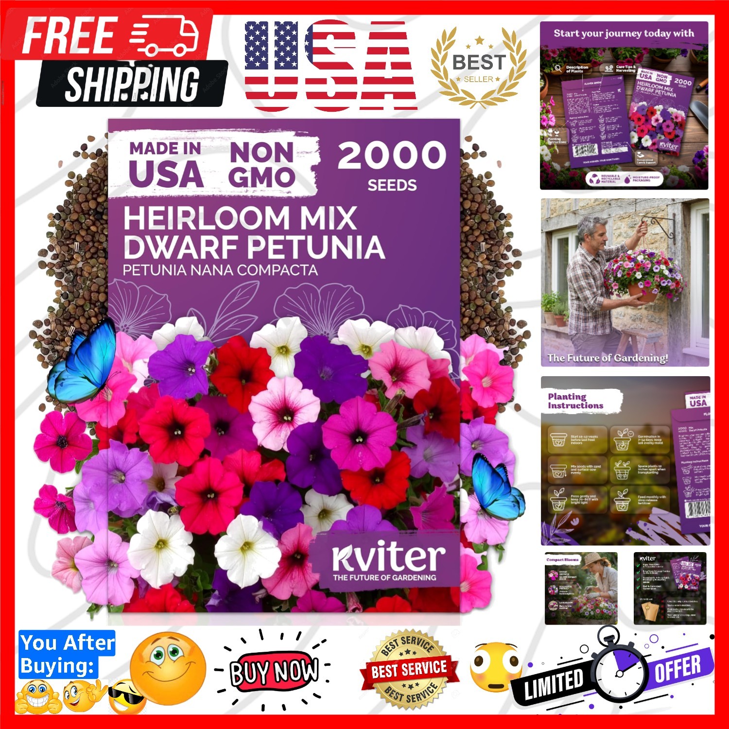 2,000 Mix Dwarf Petunia Seeds for Planting Flowers Nana Compacta — Mini Petun…