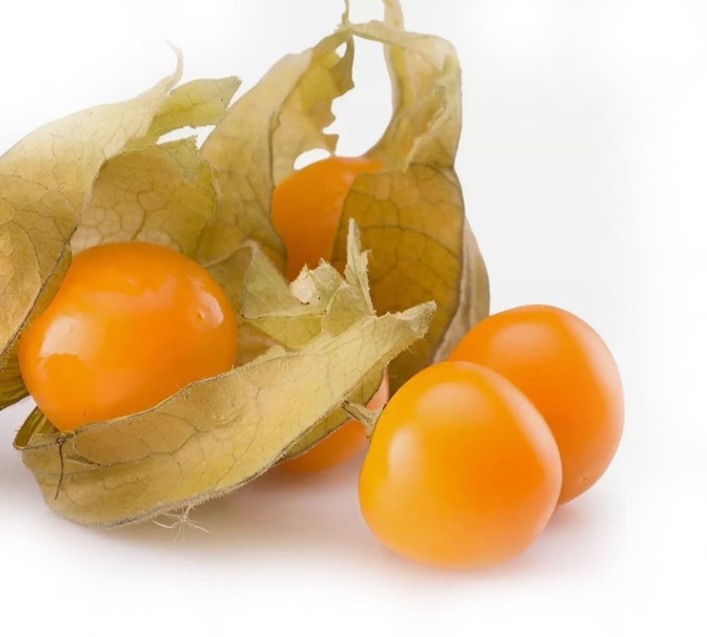 100PCS Cape Gooseberry Seeds Rare Fruit Spring Ground Cherry-Heirloom Seeds