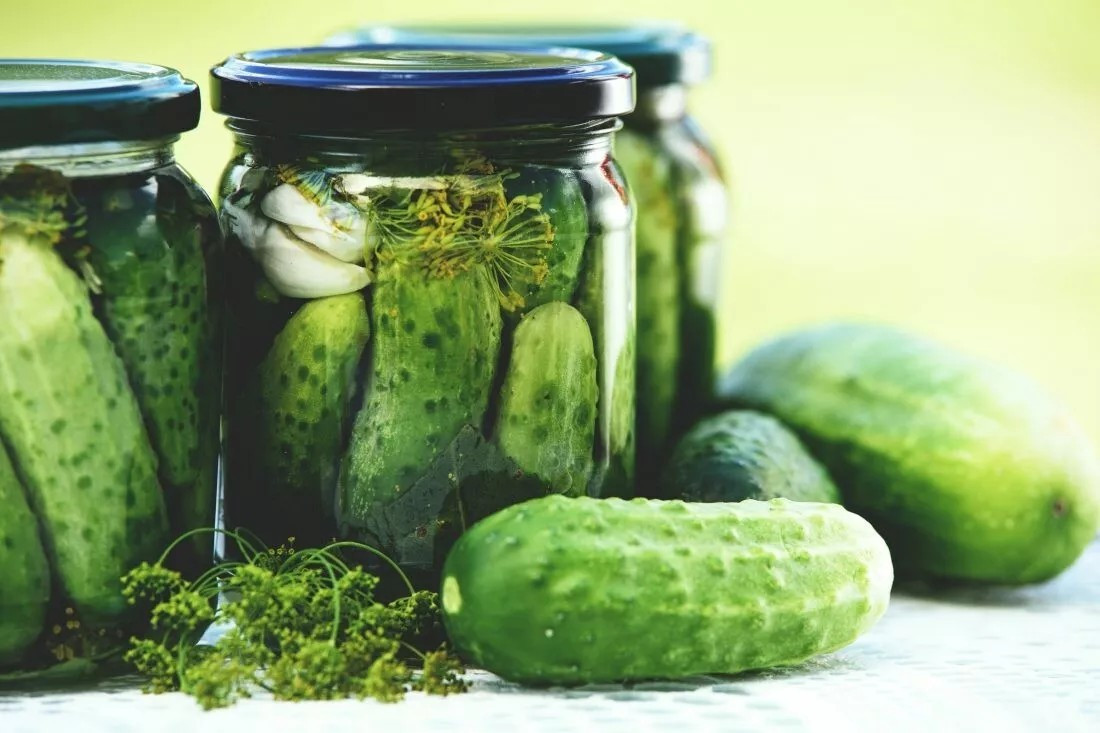 100+ Boston Pickling Cucumber Seeds ———————— Non-GMO– Heirloom