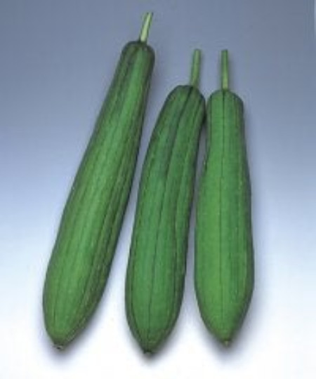 20+ edible short Smooth Luffa Seeds; sponge gourd; 絲瓜 菜瓜; muop huong; non-GMO