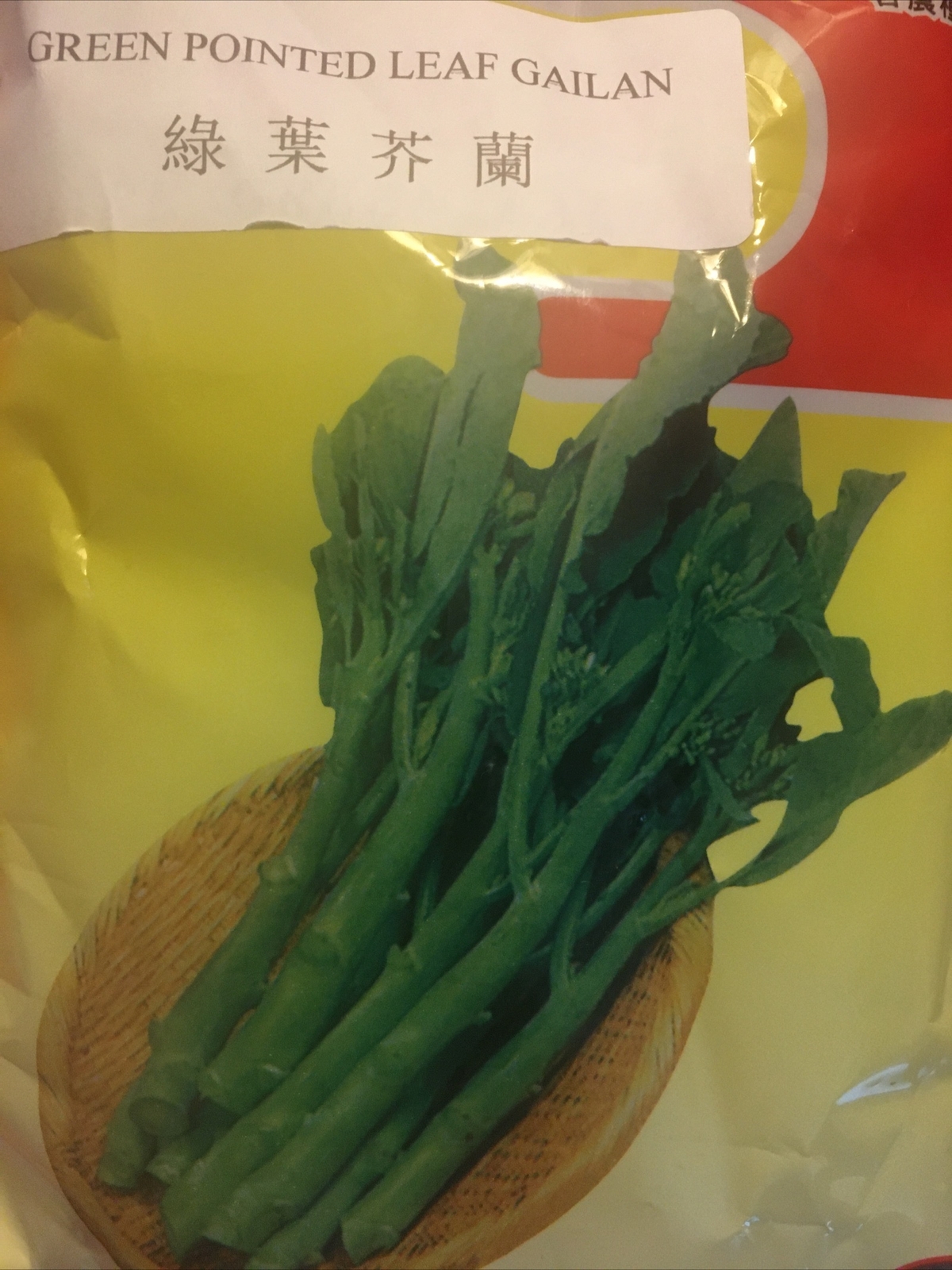 1500+ 1/4-oz Green Pointed Leaf GAILAN Gai Lan seeds; KAILAAN Chinese Kale 綠葉芥蘭