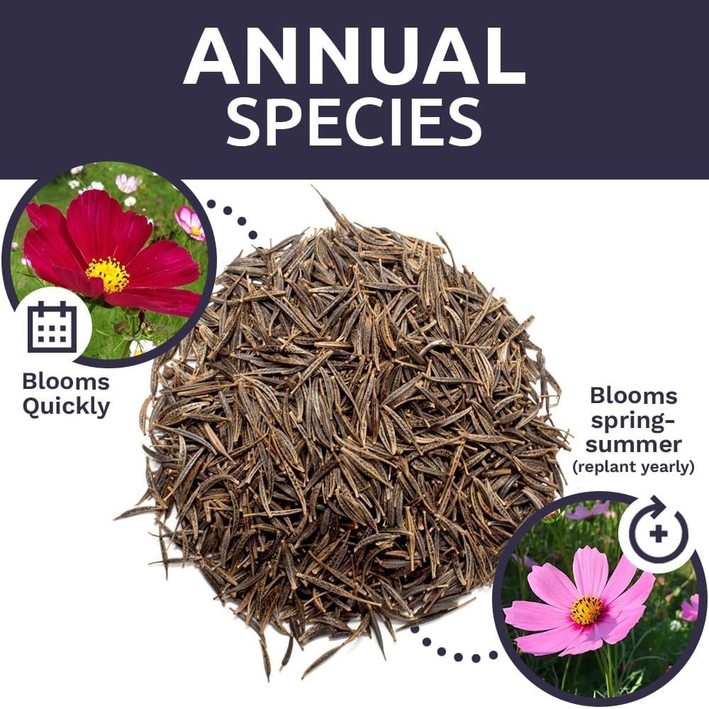 Cosmos Wildflower Seeds Mix – Bulk 1oz Packet