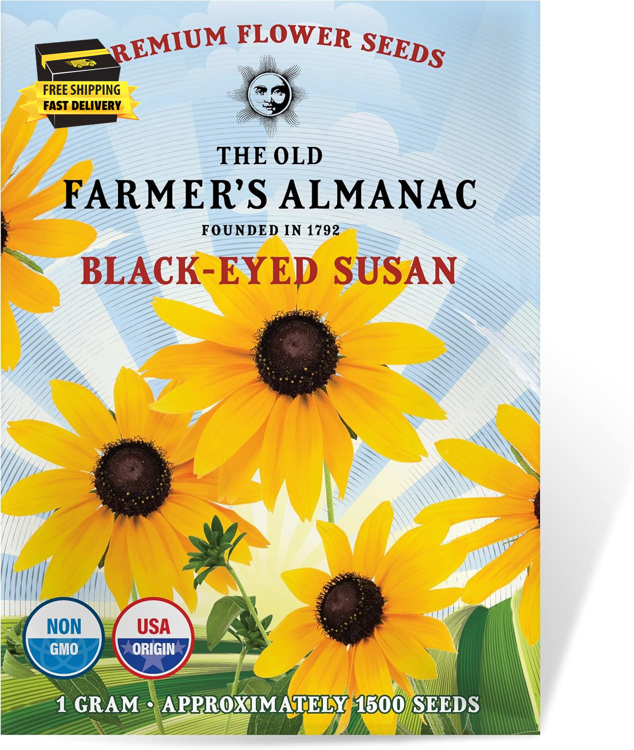 Black Eyed Susan Seeds (Rudbeckia) – Approx 1200 Flower Seeds Flower Seeds – Pre