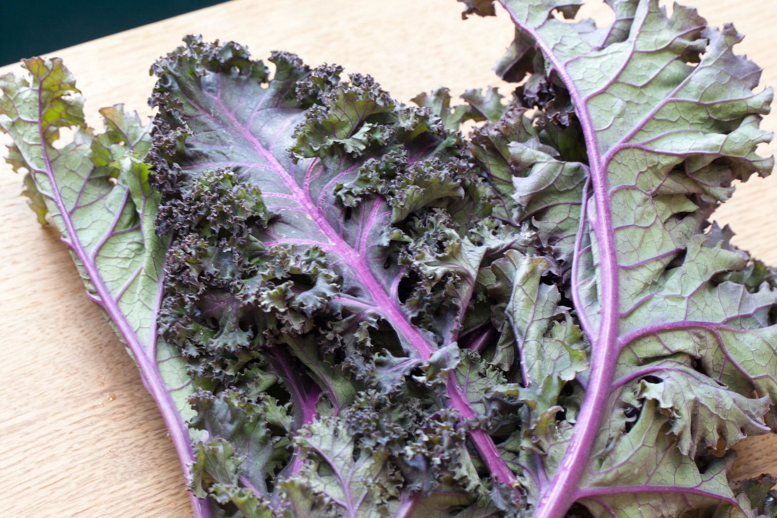 Red Russian Kale Seeds |Purple Siberian Rouge Vegetable Collard Greens Seed 2024