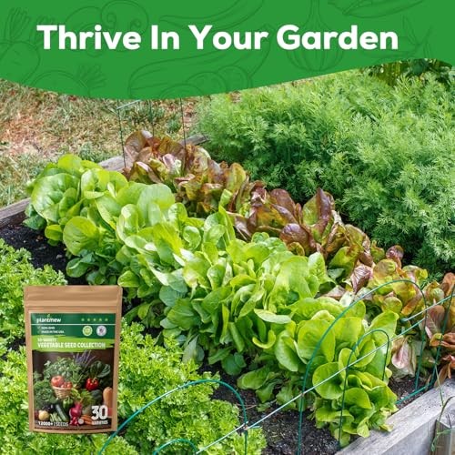 30 Heirloom Vegetable Seeds for Planting, 12,000+ Garden Seeds