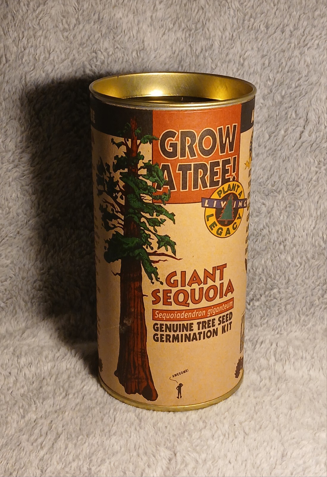 Coast Redwood | Tree Seed Grow Kit | The Jonsteen Company