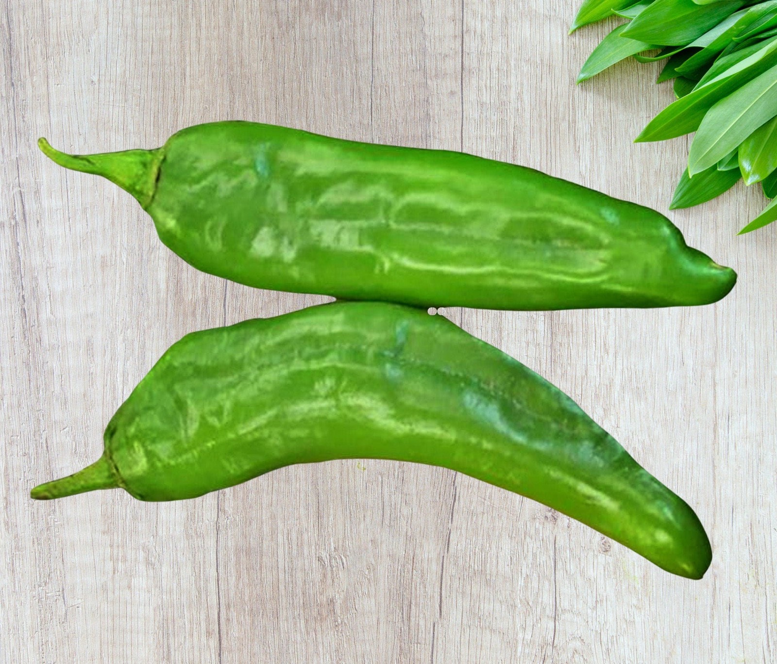 Hatch Mild Green NM-64 Hot Pepper Seeds – Heirloom Easy to Grow