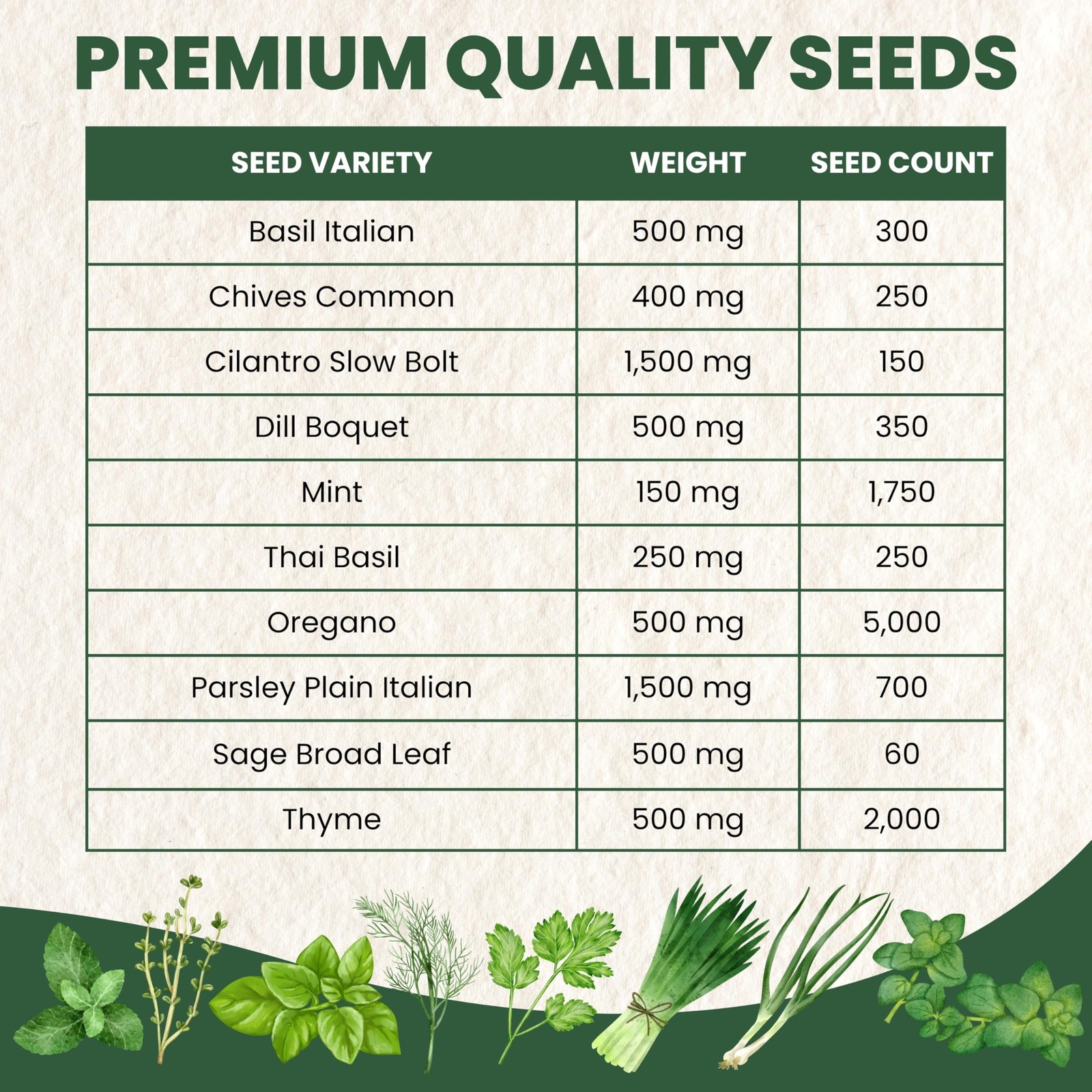 Herb Seeds 10 NonGMO Packs for Indoor & Outdoor Planting Mint, Basil, Thyme