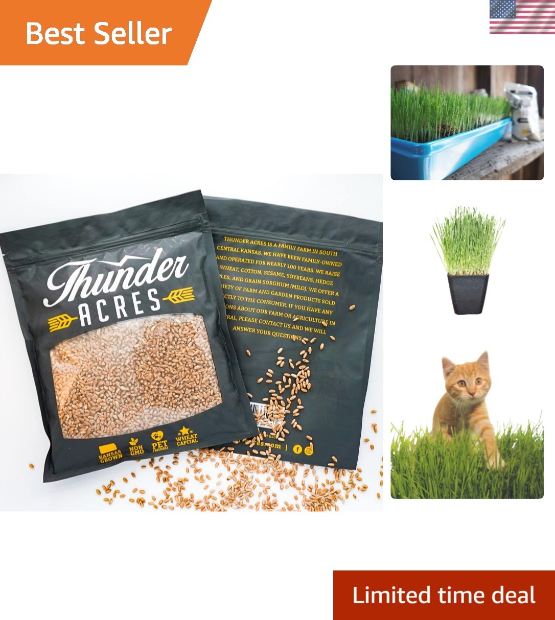 Nutritious Hard Red Winter Wheat Seed – 16 oz Cat Grass for Easy Growth