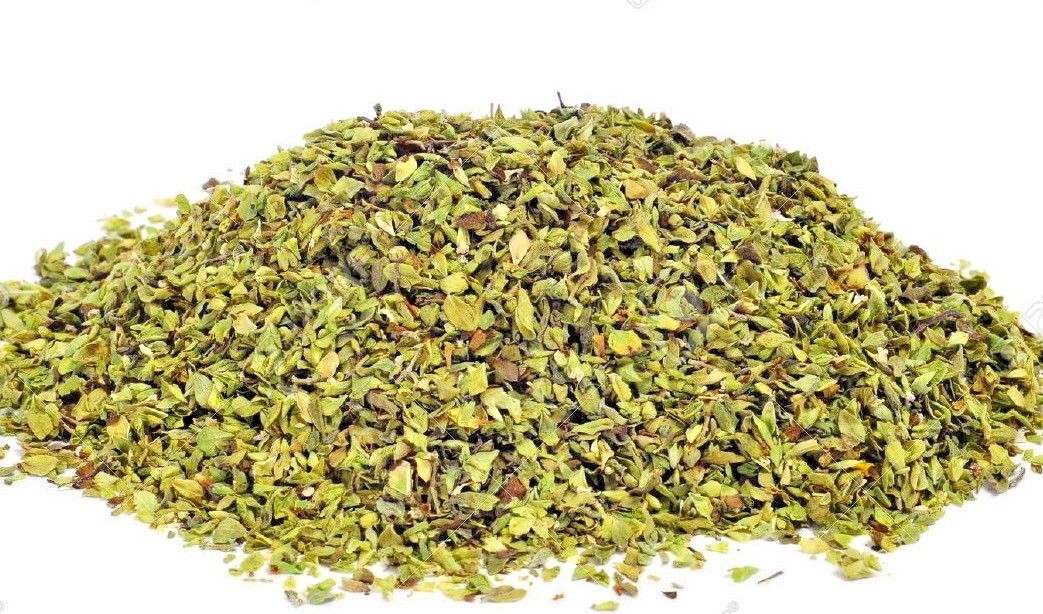300+TRUE GREEK OREGANO Herb Seeds Organic Garden Container Perennial Heat Cold