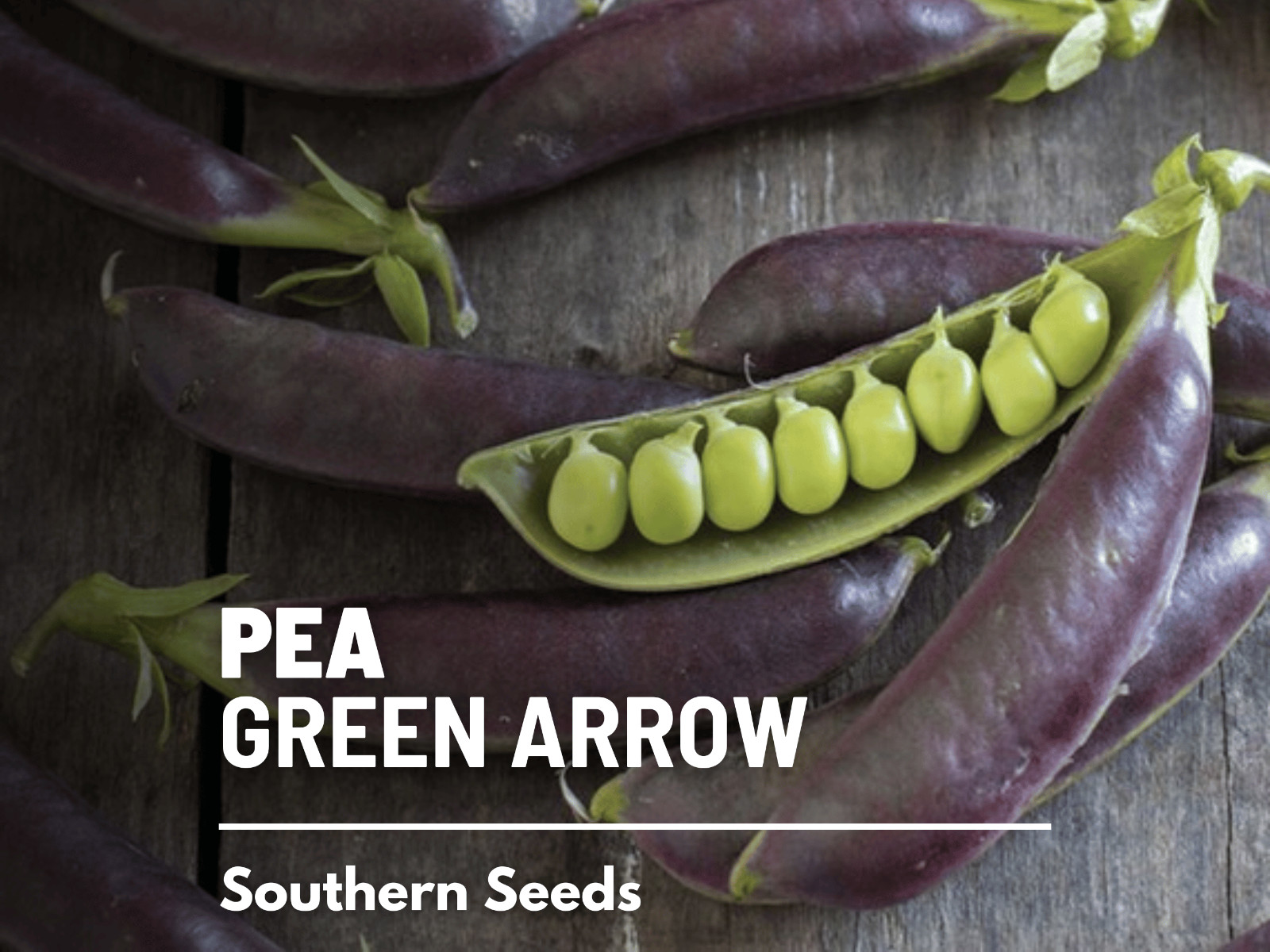 Peas, Royal Snap II – 20 Seeds – Heirloom – Non GMO