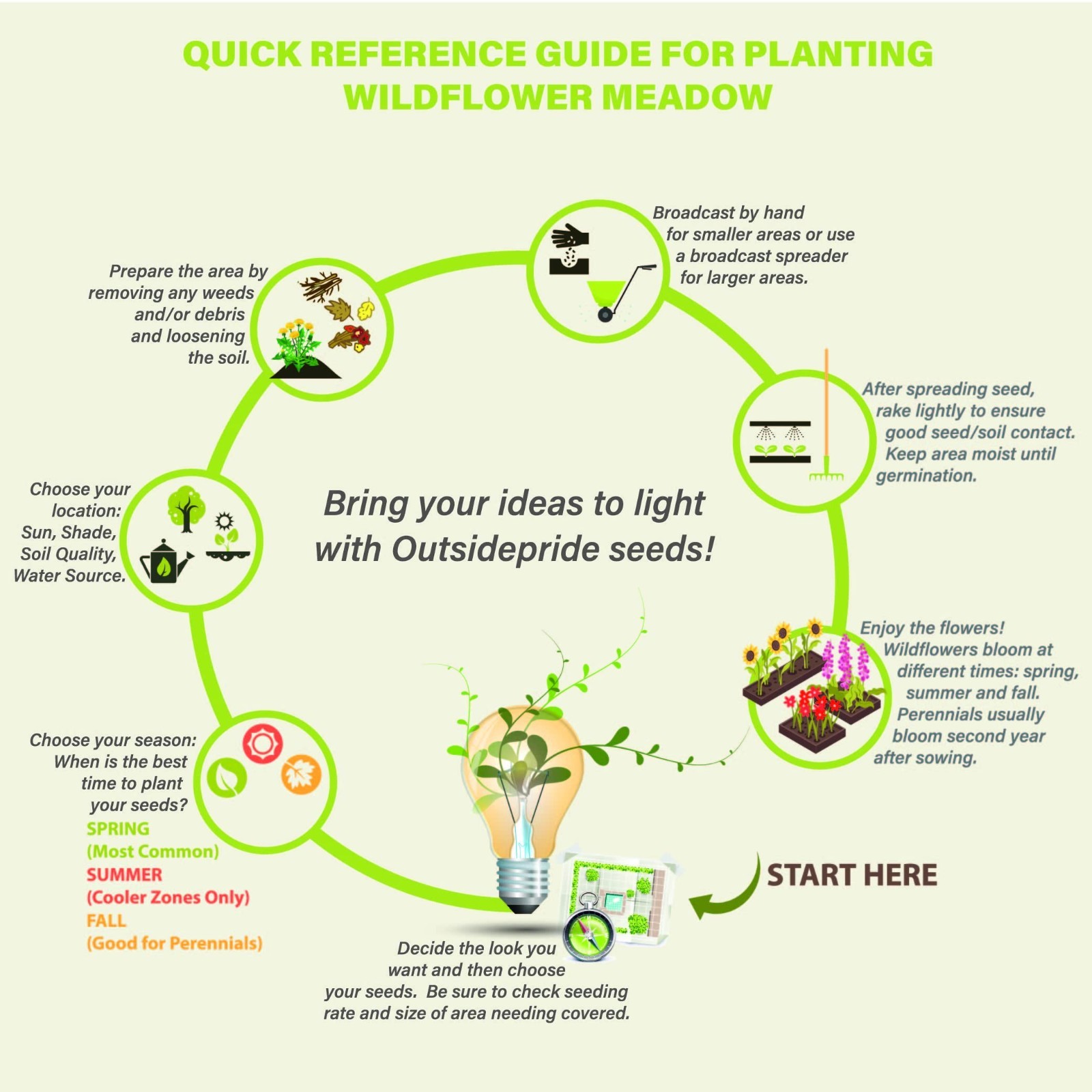 1 lb Perennial Wildflower Seed Mix – Easy Grow, Long-Lasting Blooms for Gardens