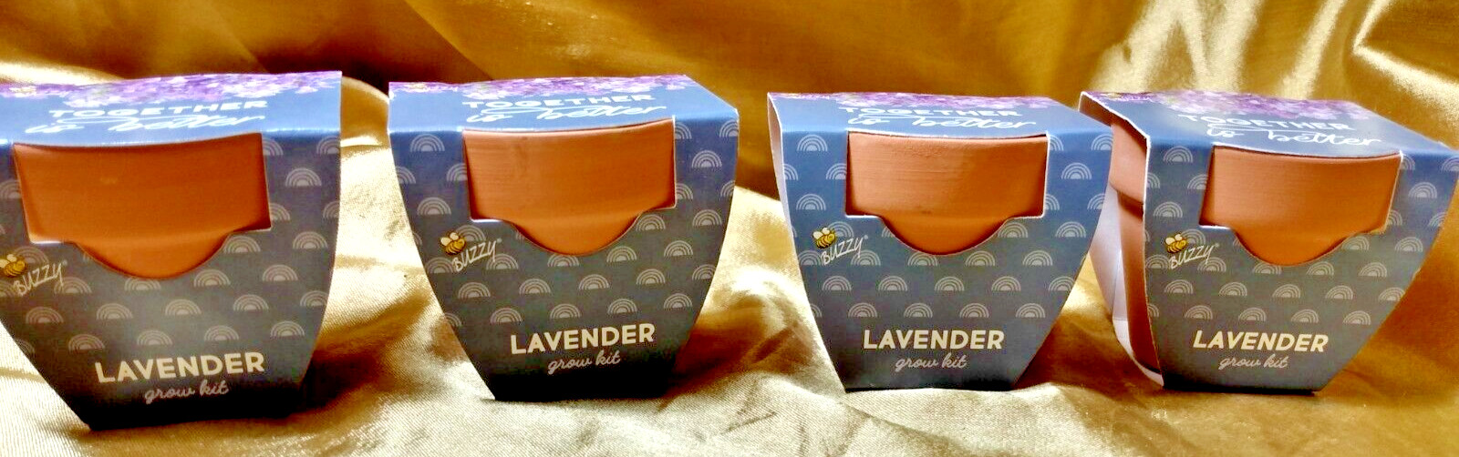 BUZZY 2″ Mini Grow Kit Terra Cotta Pot, Lavender, 4/Pack