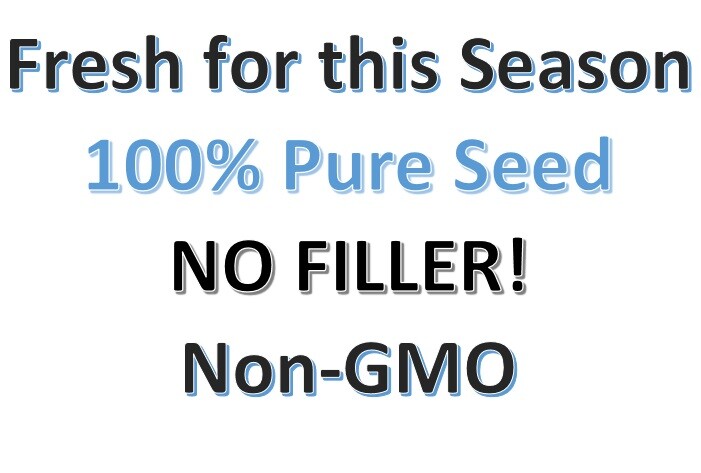 Nasturtium MOONLIGHT Creamy White Moon Edible Flowers HEIRLOOM Non-GMO 10 Seeds!