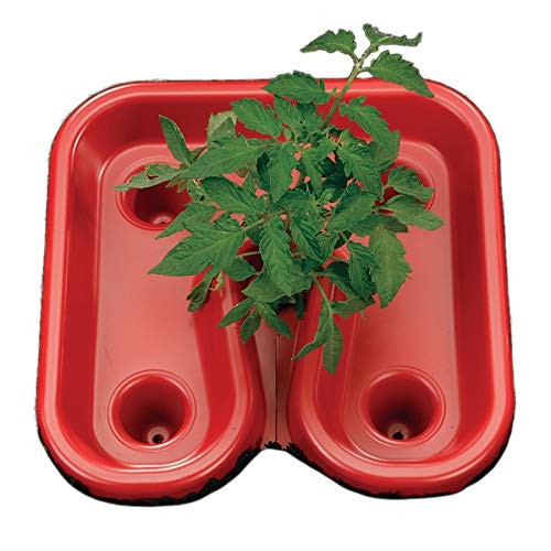 Red Tomato Automator Tray, All-Purpose Feeder, Waterer, Weeder, Includes 3 Trays