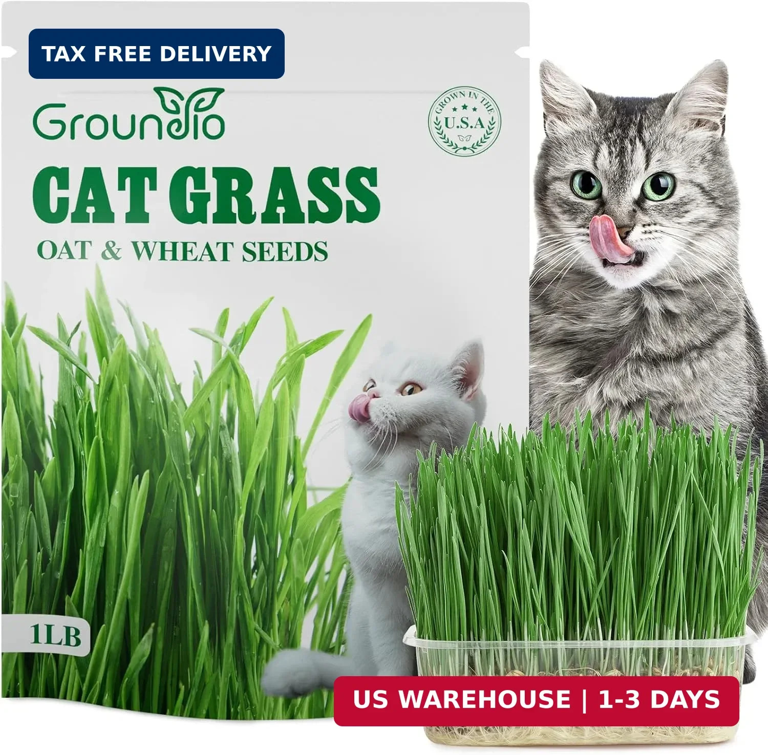 Groundio Cat Grass Seeds, 16 OZ, Grown in The USA for Indoor Cats, Non-GMO, 1 Po