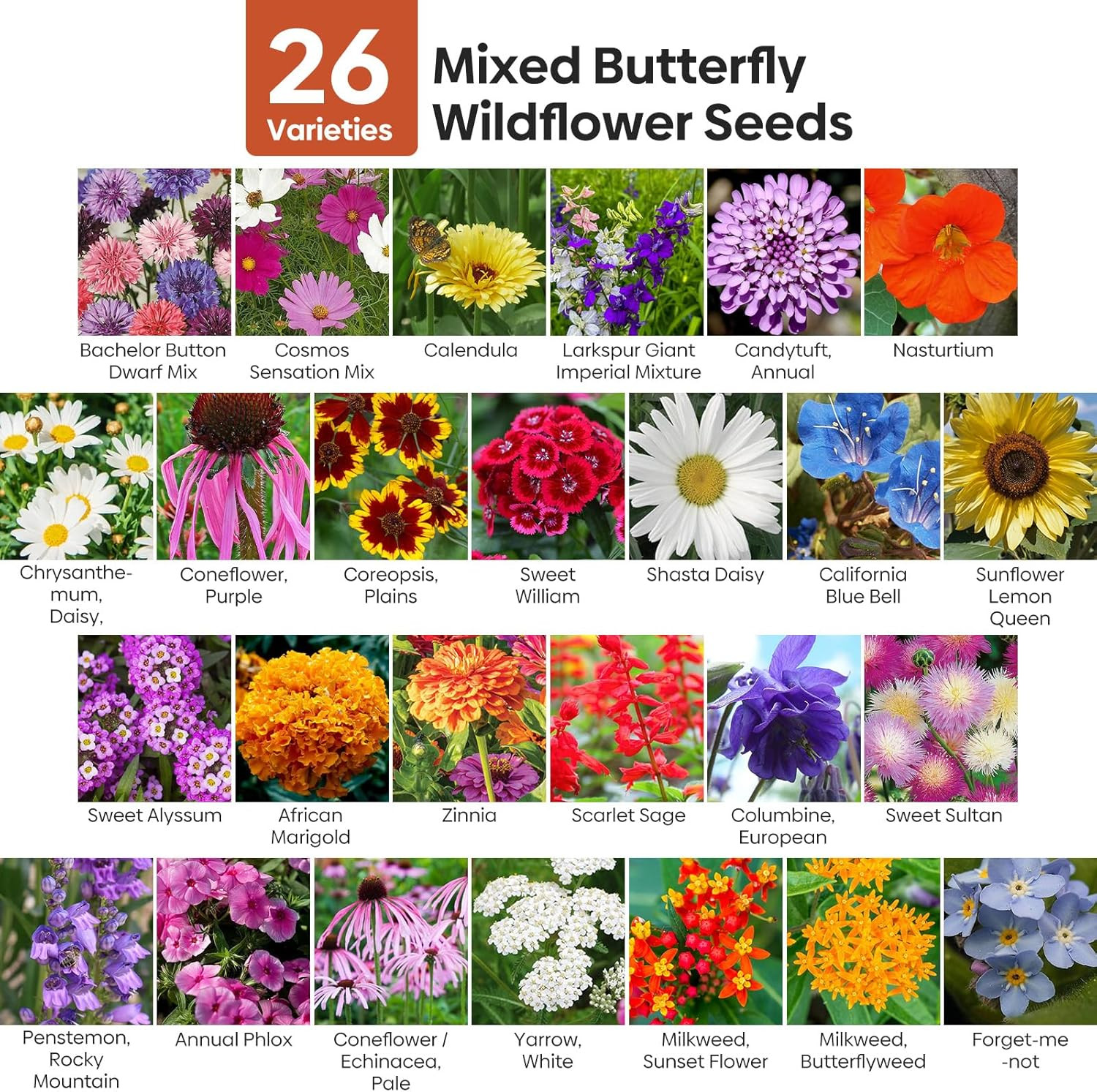 All Perennial Wildflower Seeds Bulk 1/4 Lb 100000+ Seeds 26 Variety Mix with