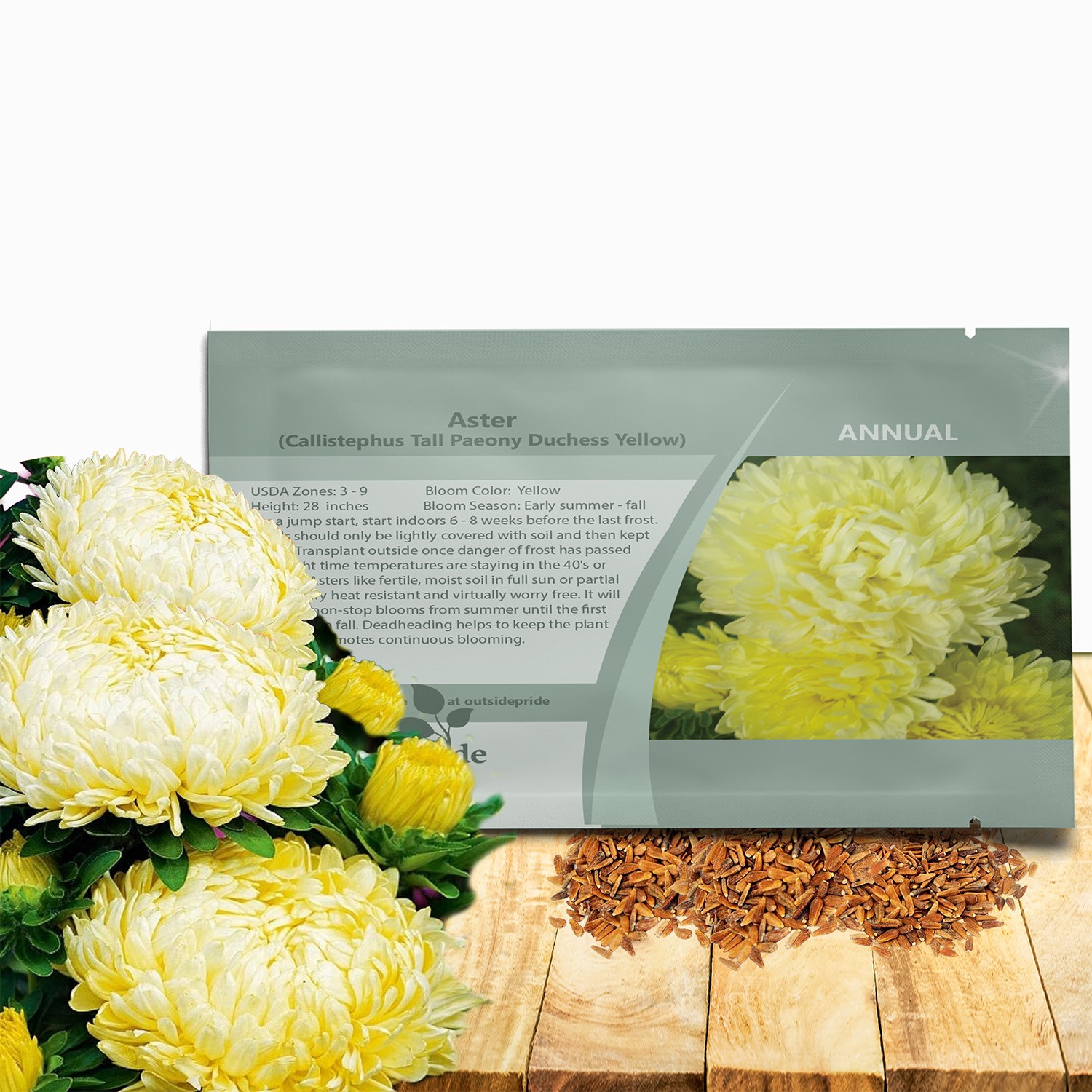2000 Seeds Aster Seeds – Aster Callistephus Yellow Flower Seed
