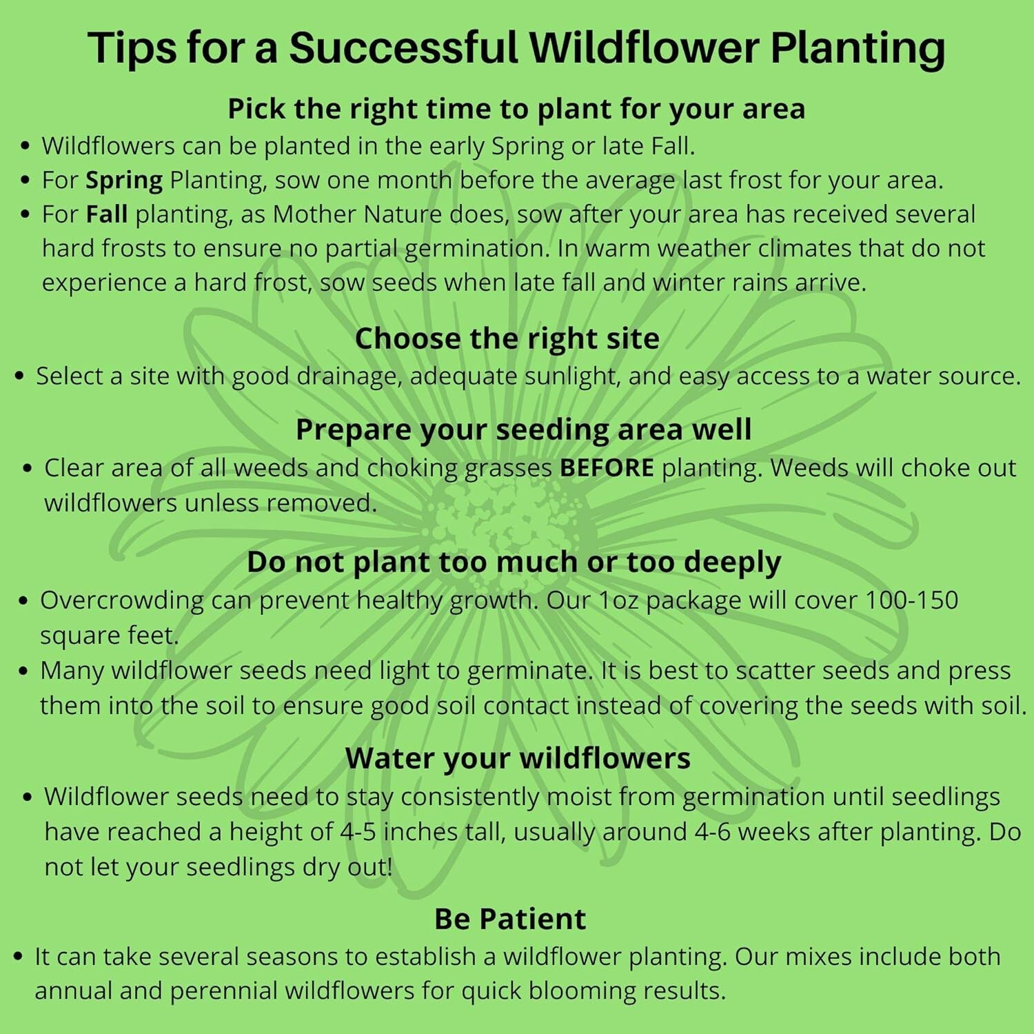 High Quality Partial Shade Wildflower Seeds – Attract Pollinators Year Round