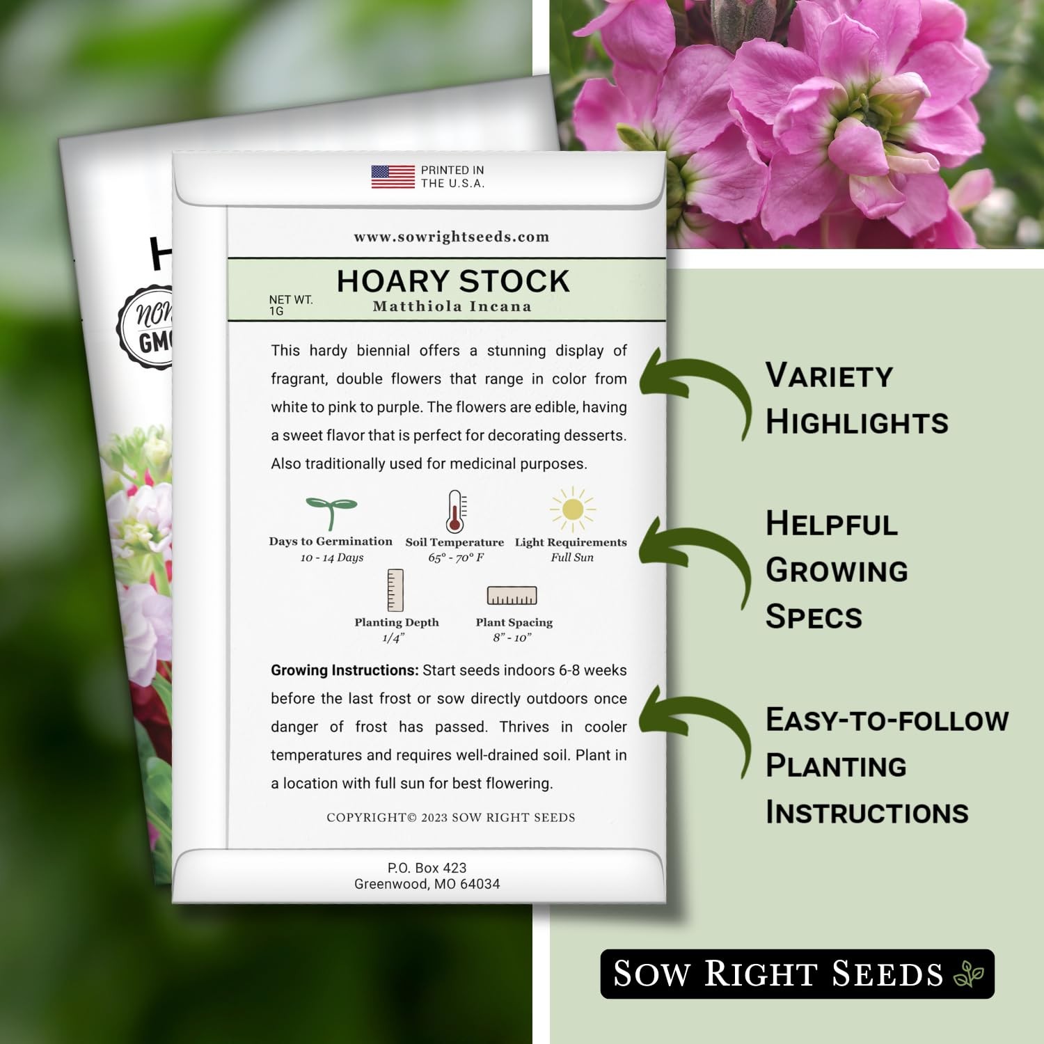 – Hoary Dwarf Mix Stock Seeds for Planting – Non-GMO Heirloom Packet with Ins…
