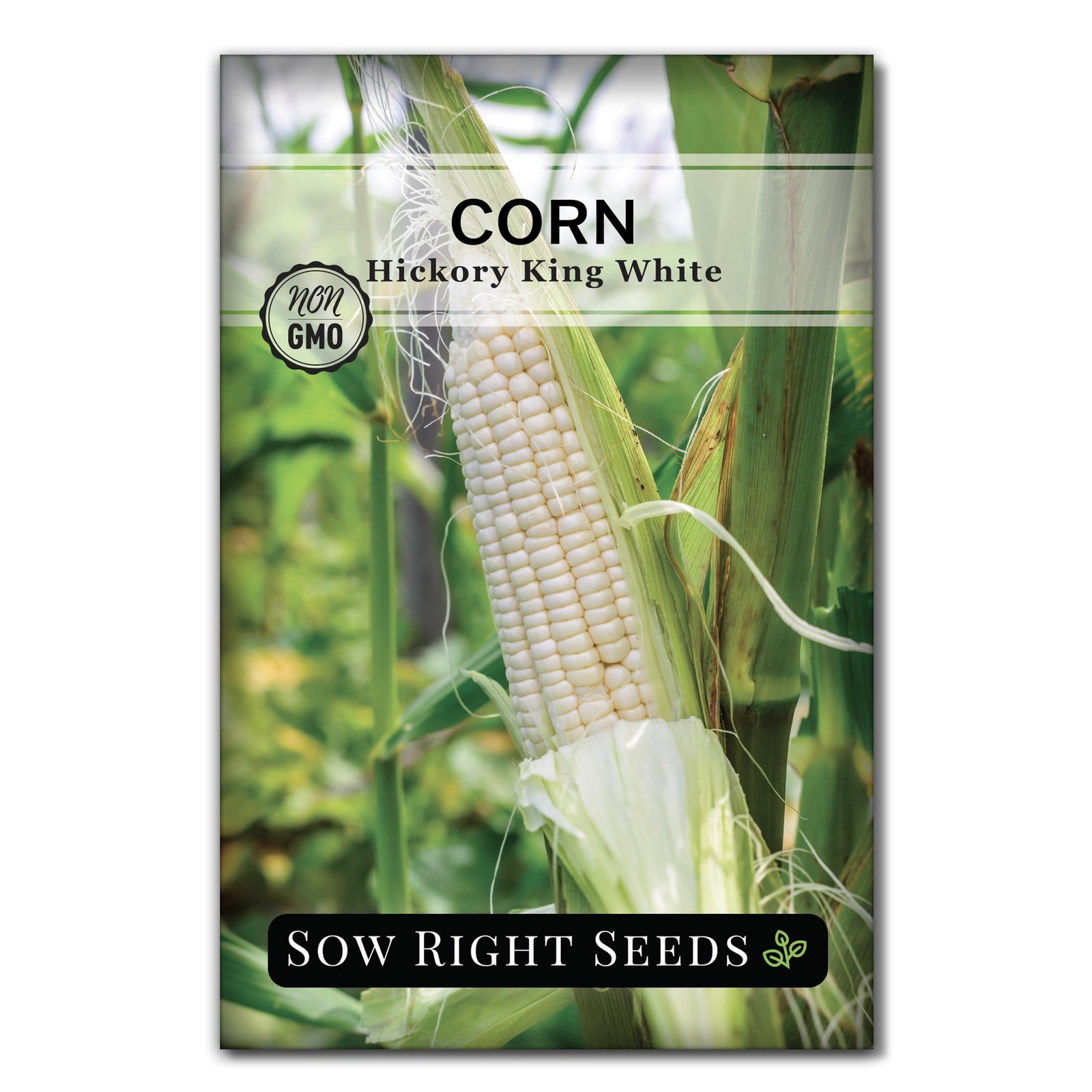 Hickory King White Corn Seeds for Planting NonGMO Heirloom Packet with Inst…