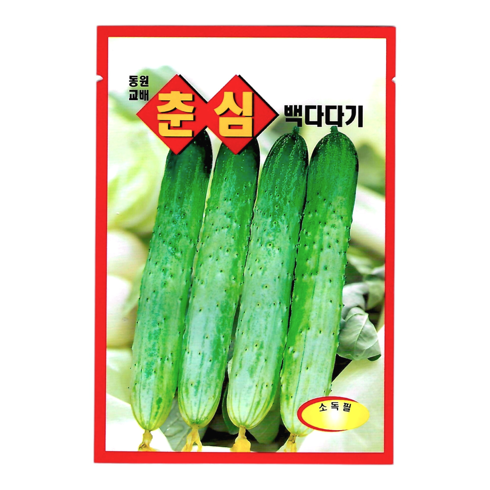 Korean Cucumber Seeds 1 Pack | Thin Skin & Low Bitterness (백다다기 오이)