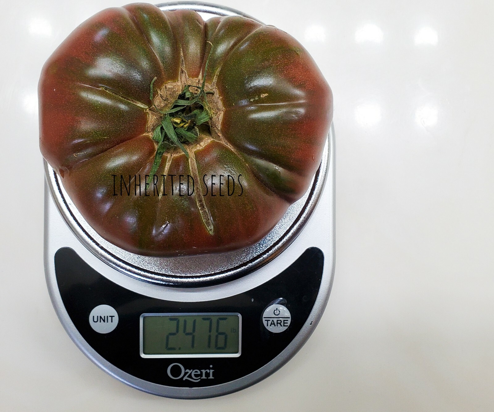 2 LB+ X LARGE Black Krim Tomato HEIRLOOM 50+ seeds Premium strain 100% Organic
