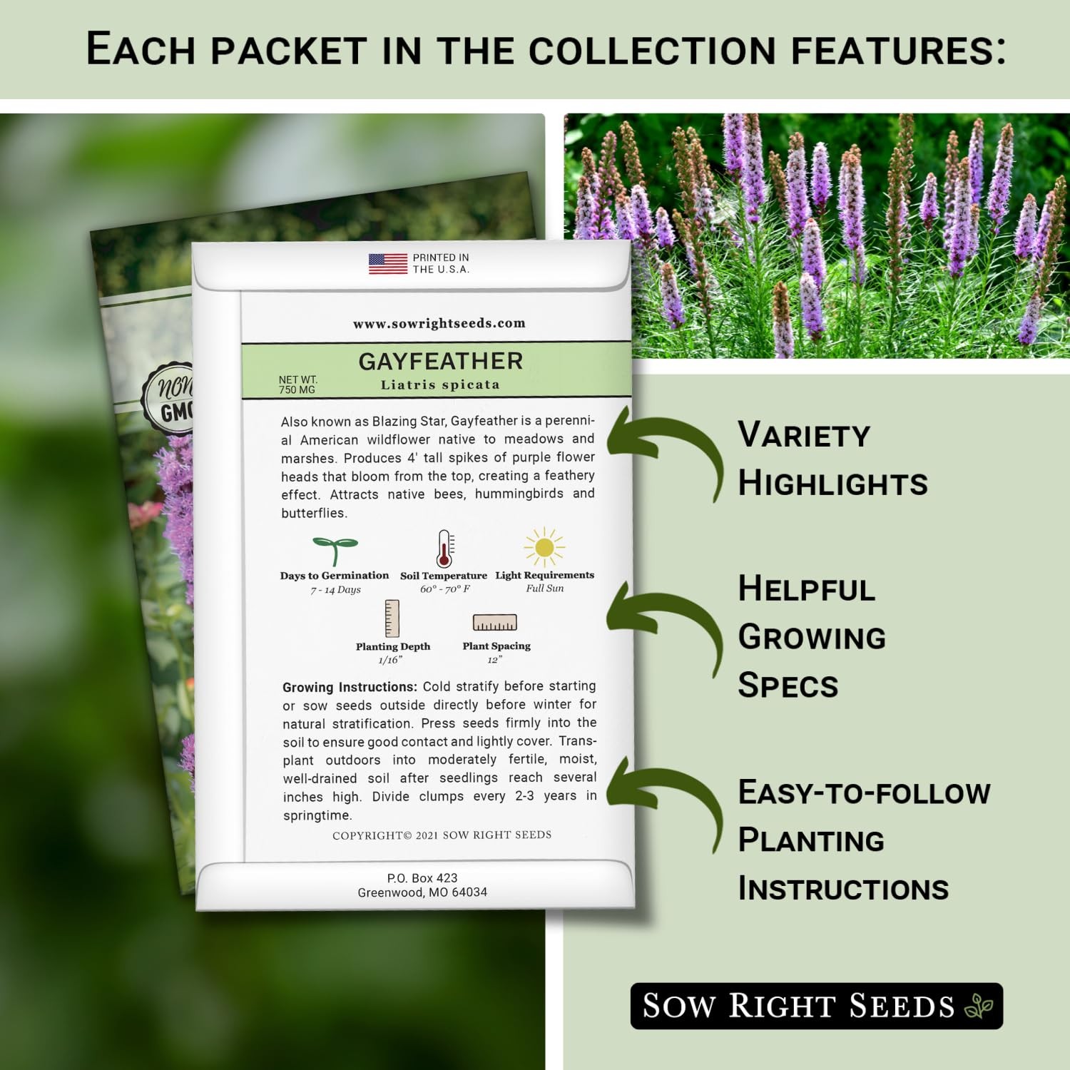 – Large Flower Farm Collection for Planting – Zinnias, Sunflowers, Daisies, C…