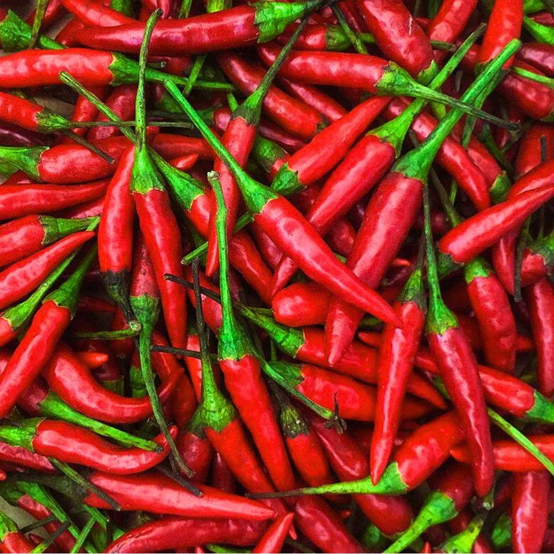 Fresh Birdseye Pepper Seeds | Wai Yee Hong | Heirloom Non-GMO | Vegetable Seeds