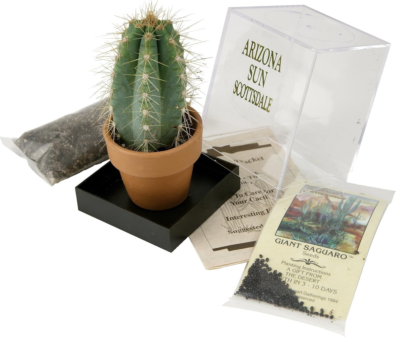 Grow Your Own Saguaro Cactus Kit Incubator Seeds Southwest Arizona Gift
