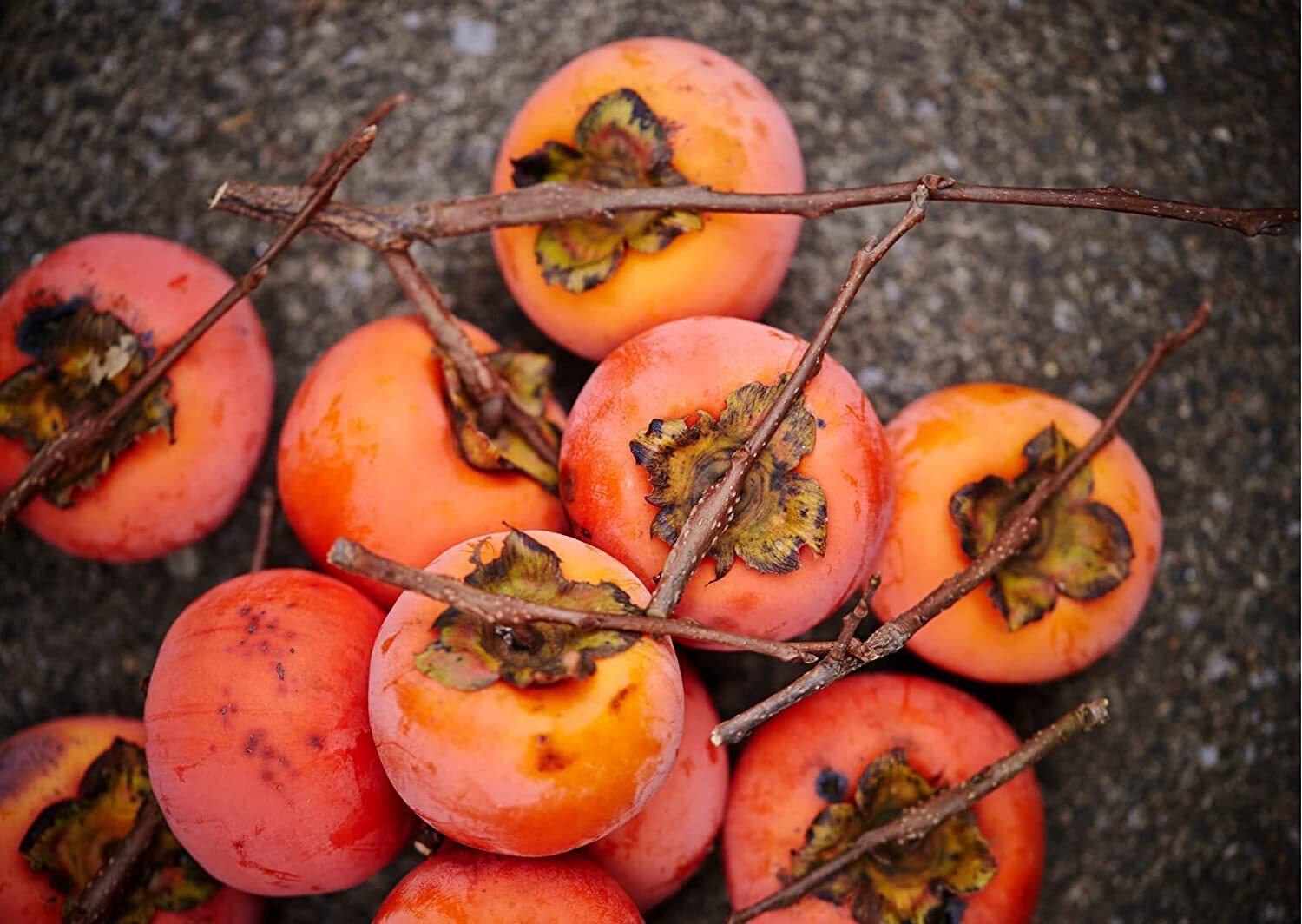 Fruit Seeds for Planting – Garden Fruit Seeds