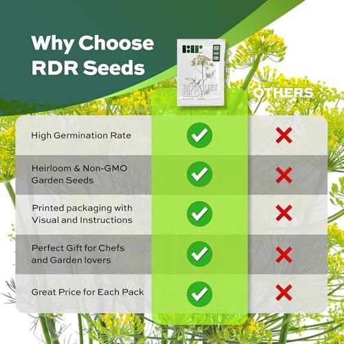 2000 Dill Seeds for Planting (Bouquet Variety) – Heirloom, Non-GMO, USA Grown