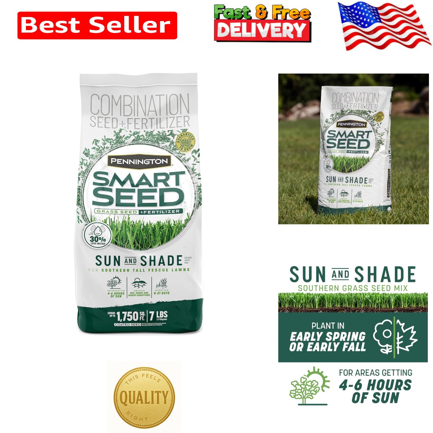 Tall Fescue Grass Seeds for Southern Lawns – Smart Seed Sun & Shade Mix