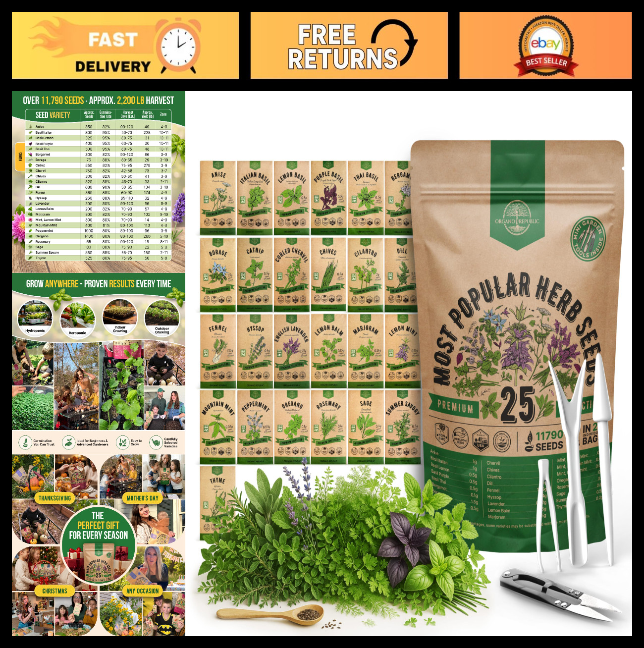 25 Herb Seeds Variety Pack – 11,700 Non-GMO Heirloom Seeds for Indoor/Outdoor Ga