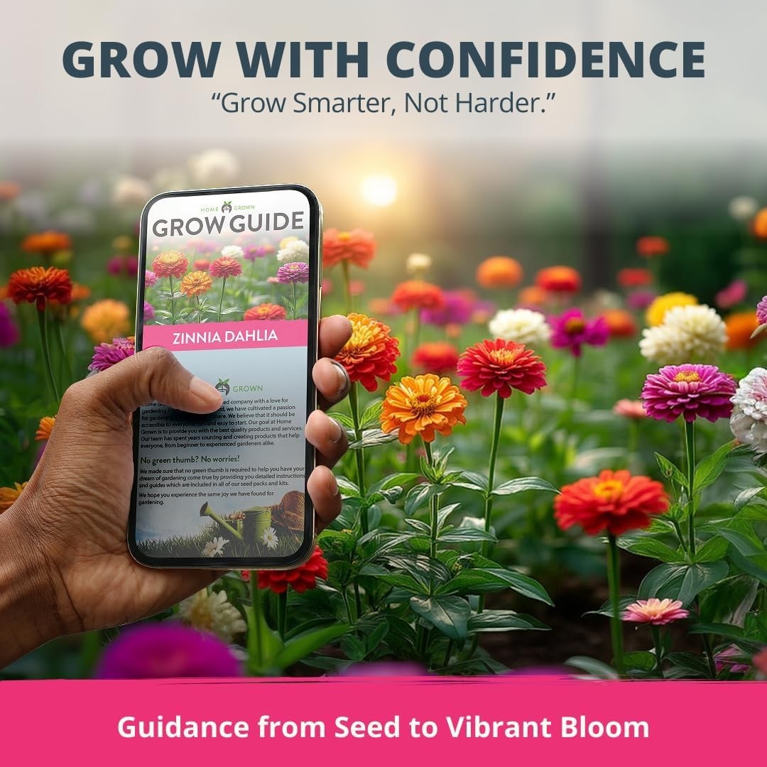 HOME GROWN Zinnia Dahlia Seeds Pack for 2026 Non GMO 524 Flower Seeds | Vibrant