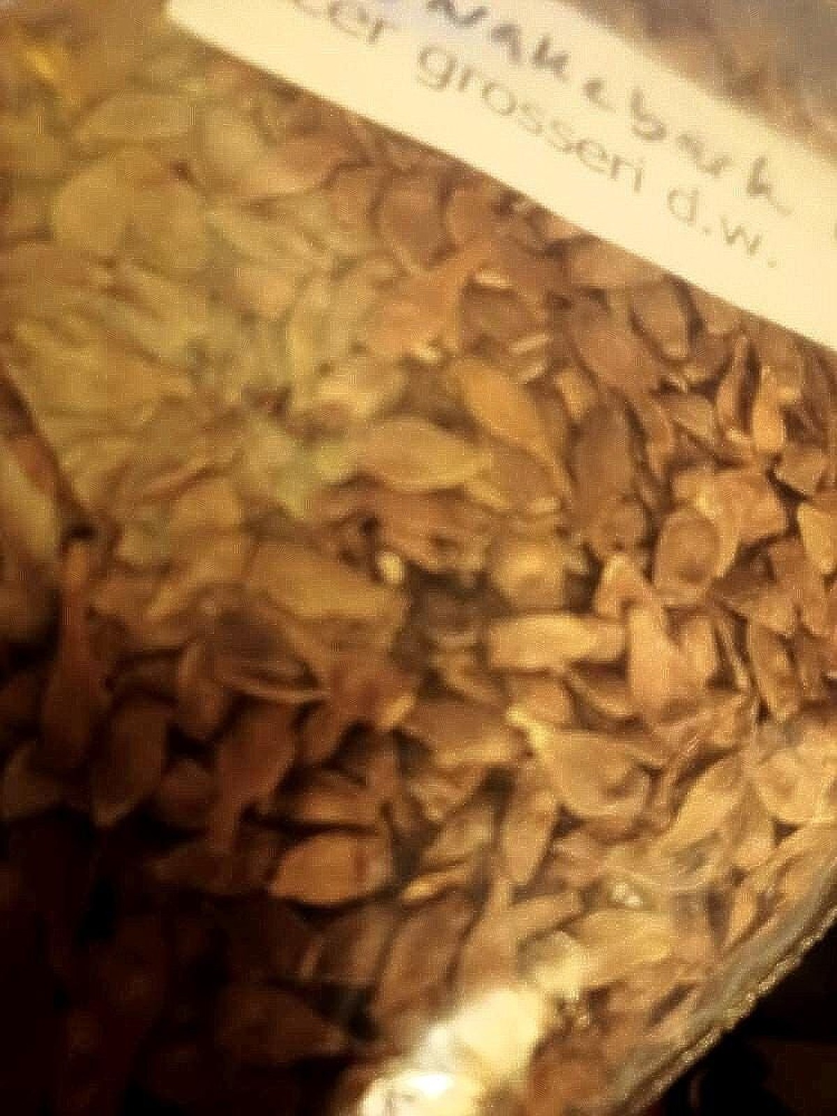 Snakebark Maple Seeds Acer Grosseri Tree Seeds Seed Pretreatment Guide