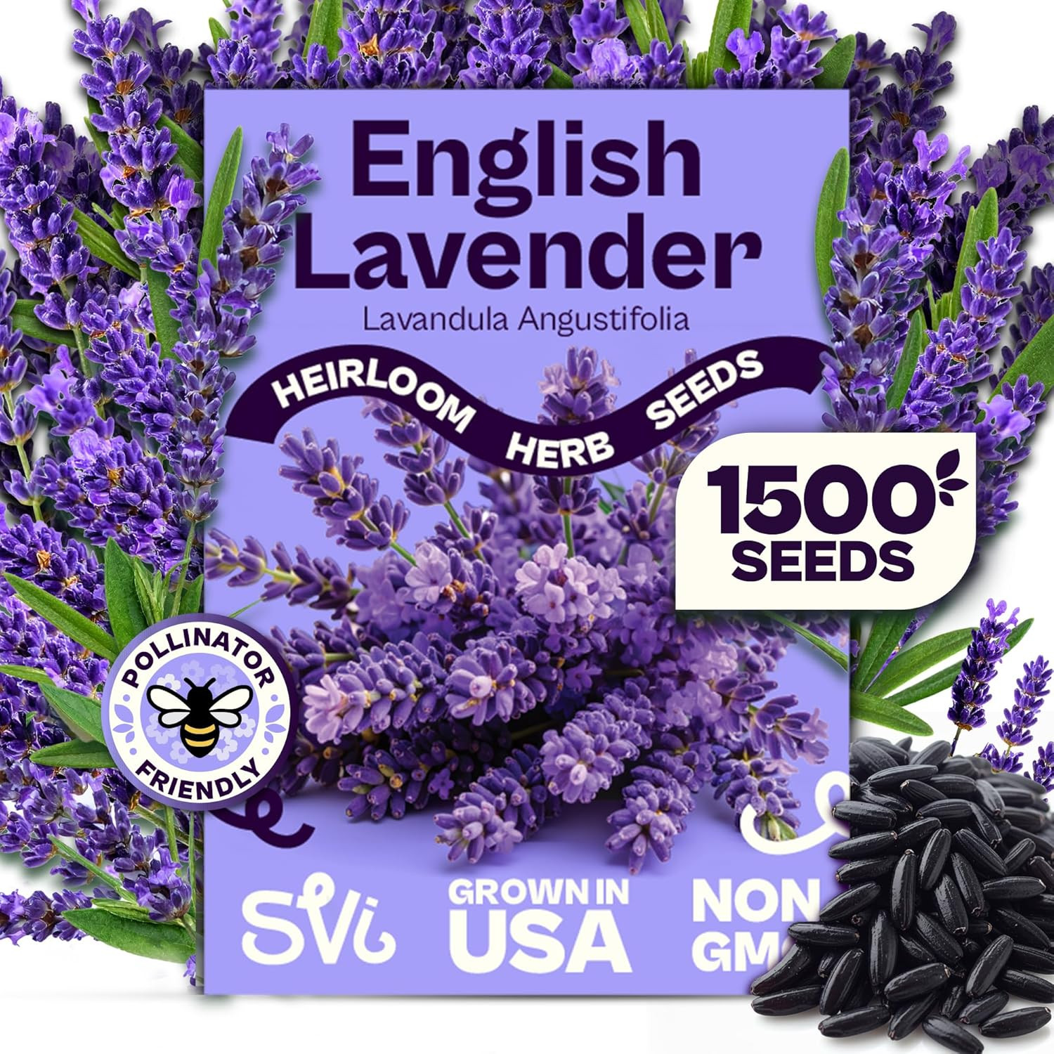 1500 English Lavender Seeds for Planting (Lavandula Angustifolia) – Fragrant Per