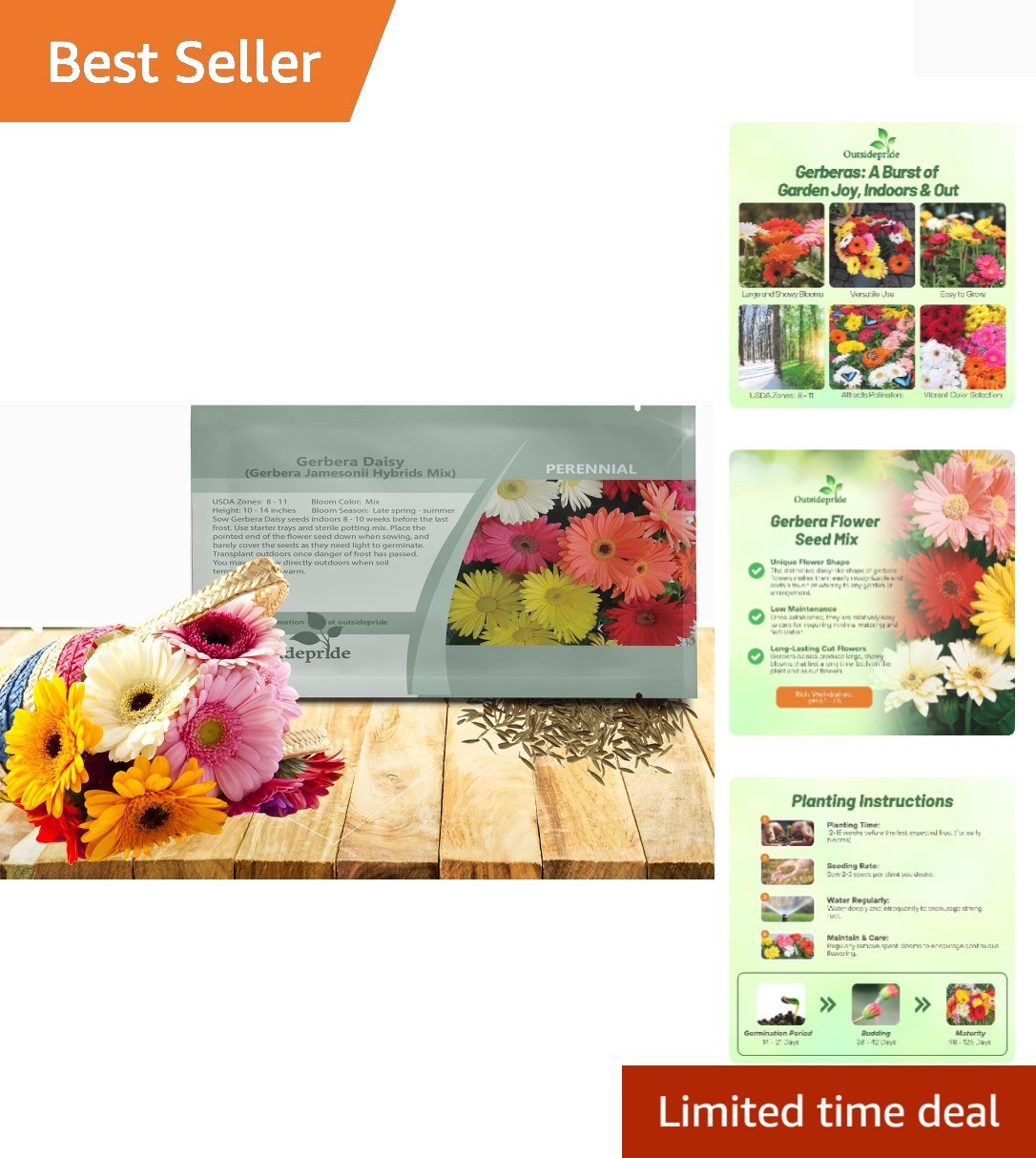 Hybrids Mix Gerbera Seeds – 100 Pcs Perennial, Compact & Low Maintenance, Flo…