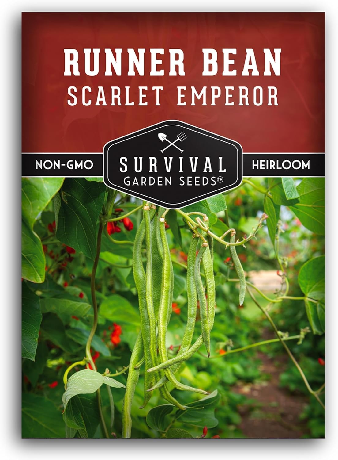 Scarlet Emperor Runner Bean Seeds for Planting – 1 Packet with Instructions to P