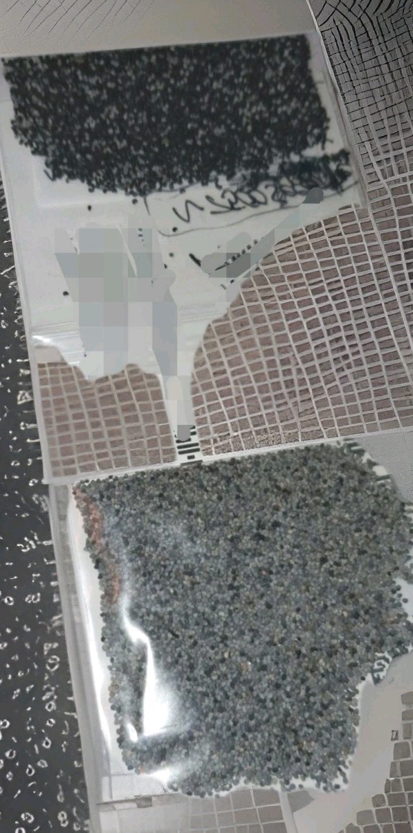 2,500+ Turkish Poppy Seeds – RARE SOMNIFERUM for planting