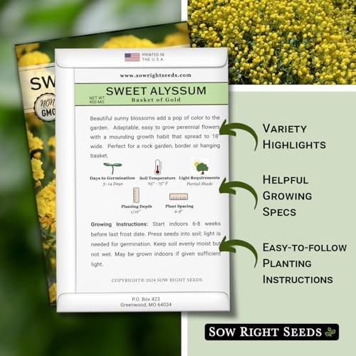 – Sweet Alyssum Basket of Gold Flower Seeds for Planting – Perennial Garden 4
