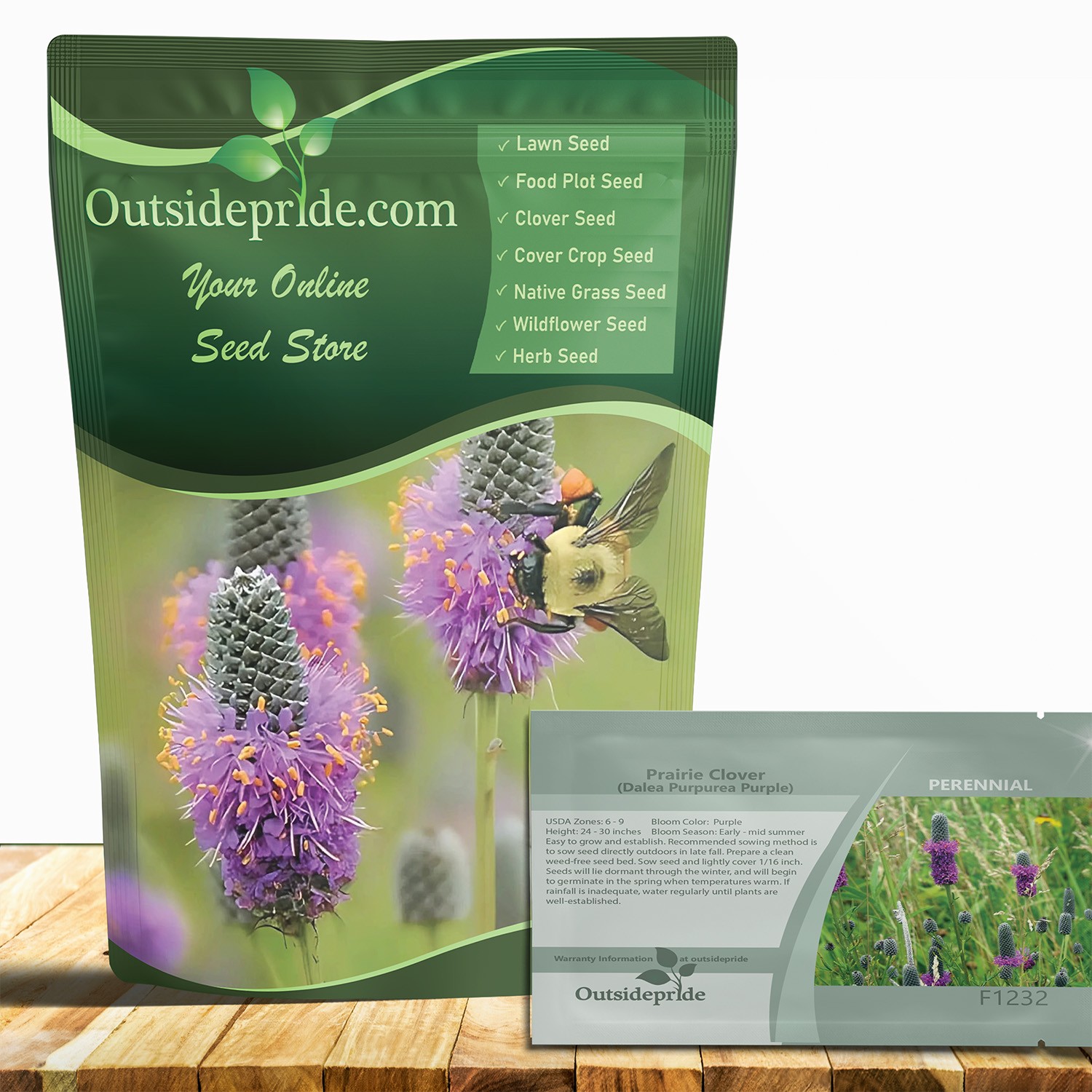 1000 Seeds Dalea Purpurea Purple Prairie Clover Resistant To Heat and Drought