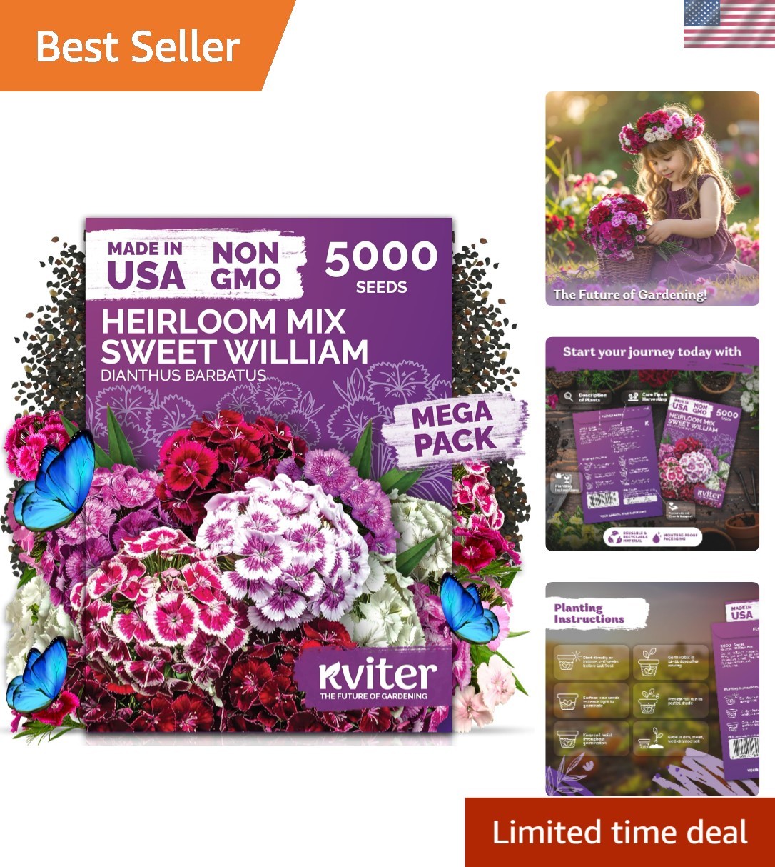 Mix Sweet William Seeds – Drought Tolerant Heirloom Blooms for Indoor/Outdoor