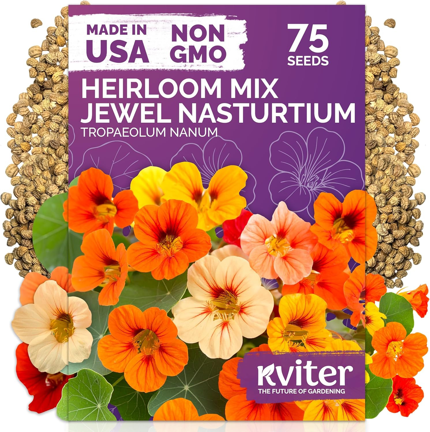20,000 Creeping Thyme Seeds (Thymus Serpyllum) – Wild Thyme, Aromatic Ground Cov