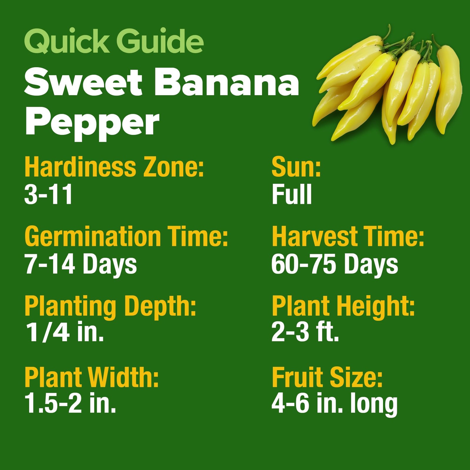 HOME GROWN Banana Pepper Seeds 94+ Heirloom Non GMO Seeds for Planting, High …