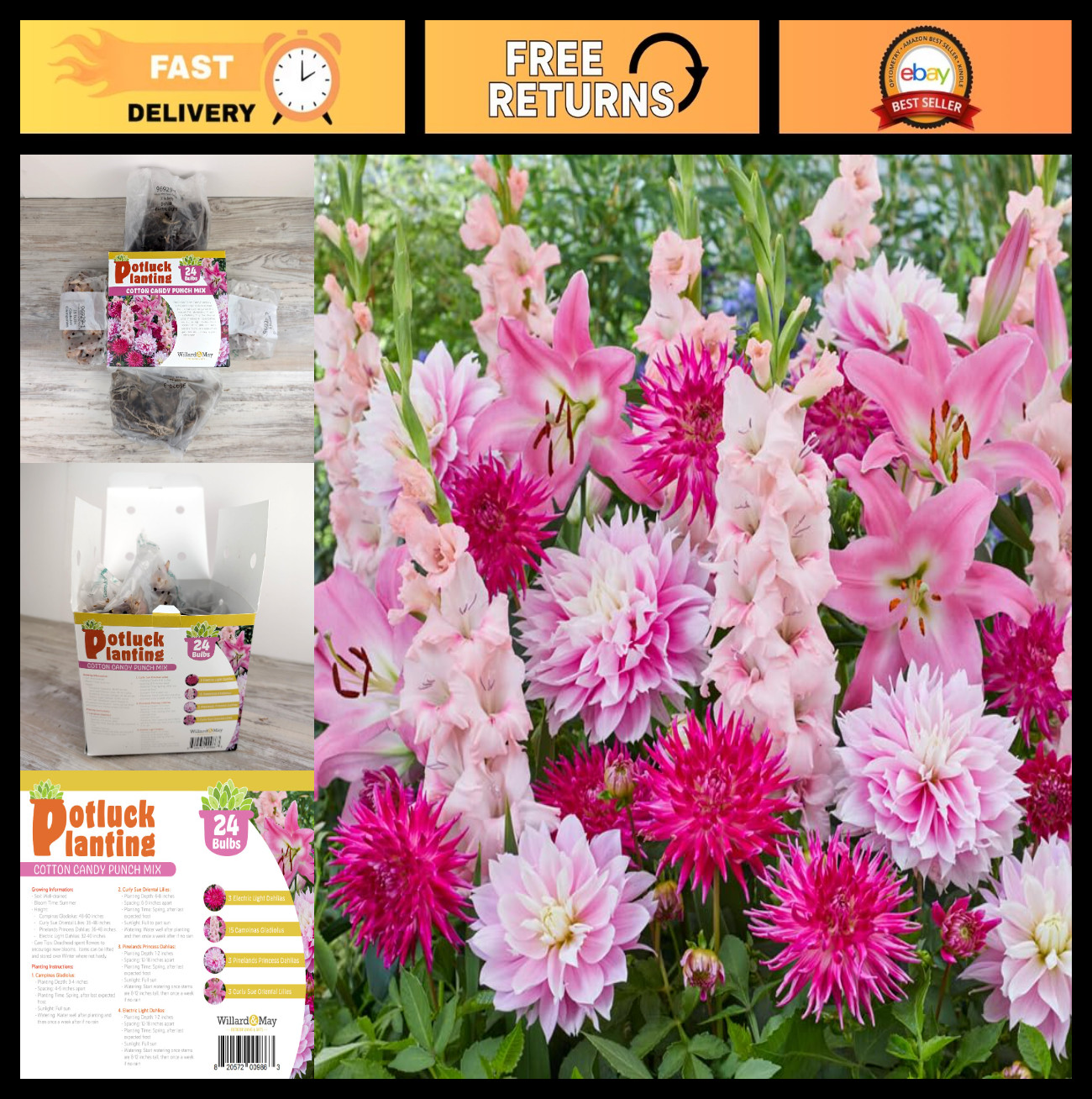 All-in-One Flower Bulb Kit – Cotton Candy Mix – 24 Bulbs – Dahlias, Gladiolus, L