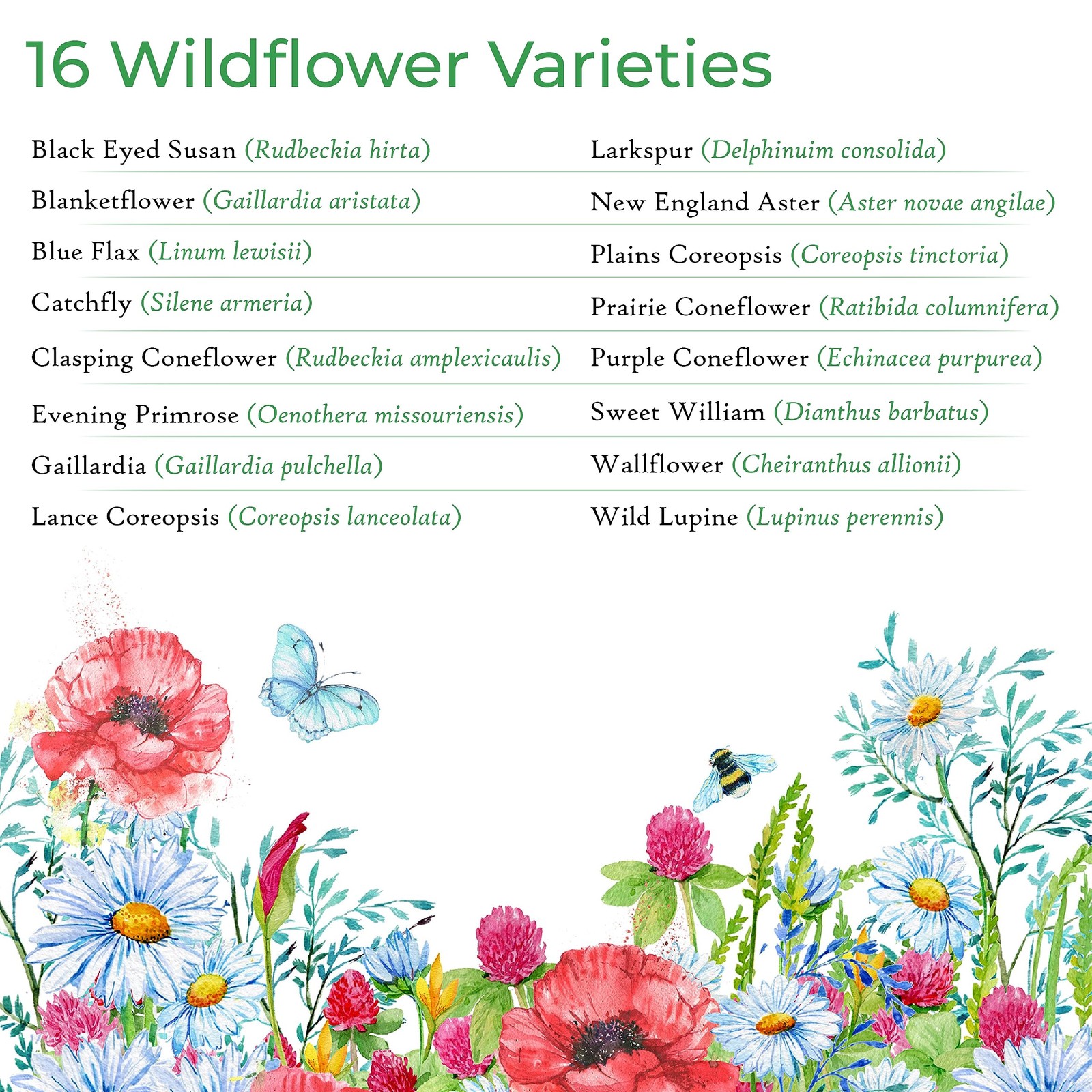 Created By Nature Iowa Wildflower Seed Mix, 16 Flower Varieties, 40,000 Seeds