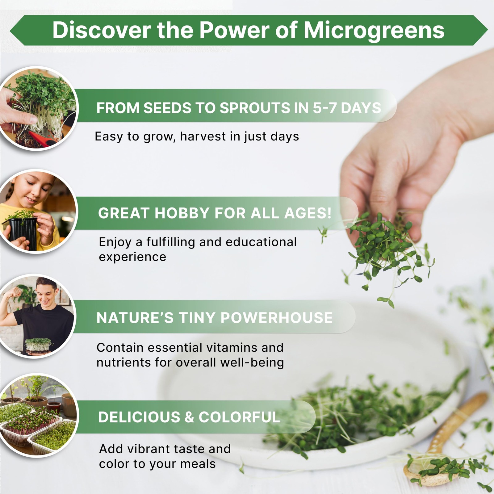 NonGMO Radish Microgreens Seeds Kit 1lb Resealable Bag for Growing