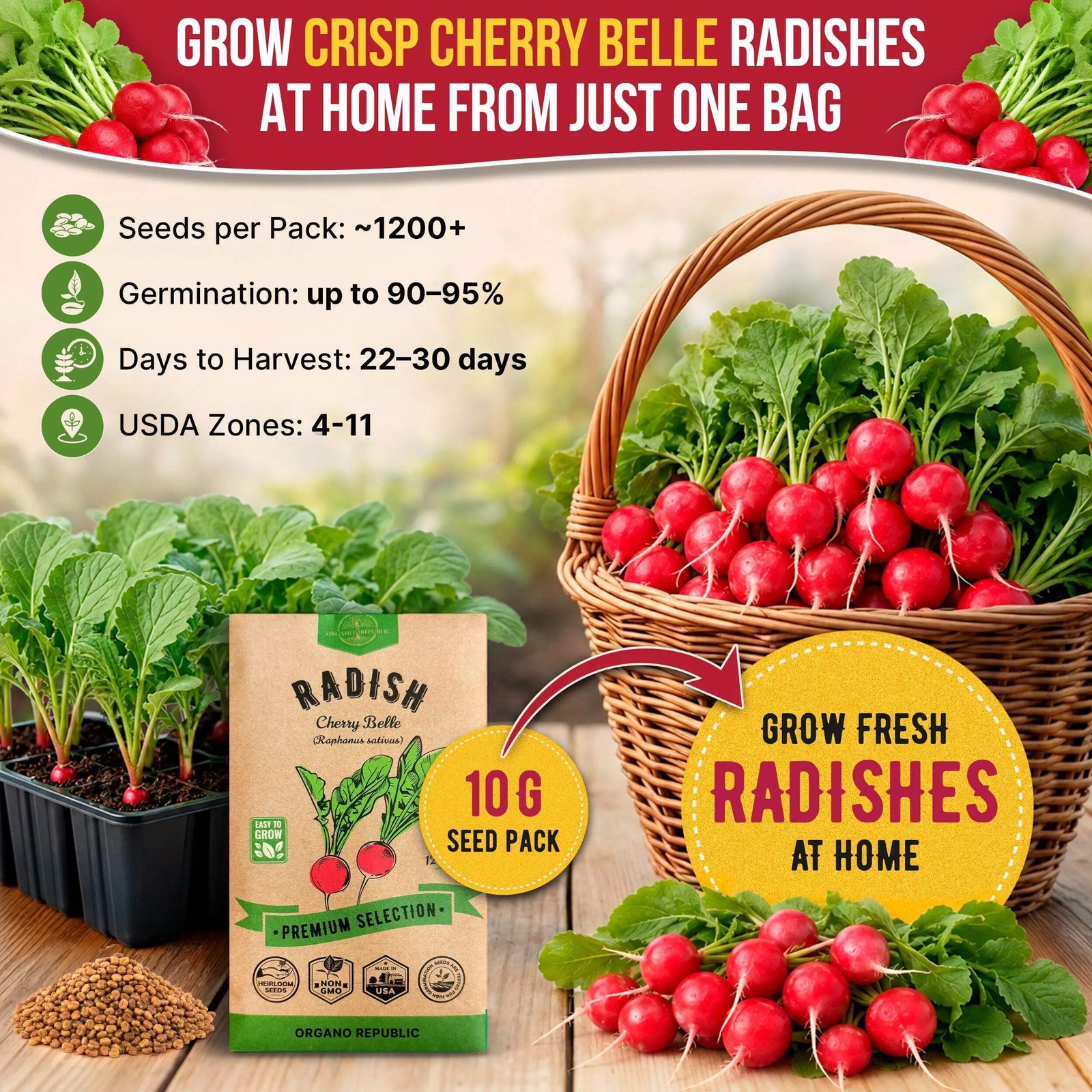Cherry Belle Radish Seeds